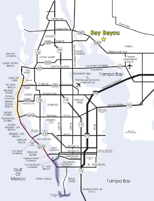 map of all the local beaches in tampa bay