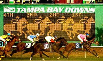 tampa bay downs has lots of wagering activities